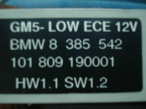 Centralita Módulo básico BMW 320 E46 GM5 8 385 542 8385542 101809 HW1.1 SW1.2