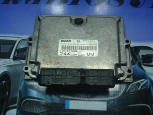 Centralita del motor Peugeot Citroen Fiat 1351215080 0281010929 D2843WGUMM BOSCH