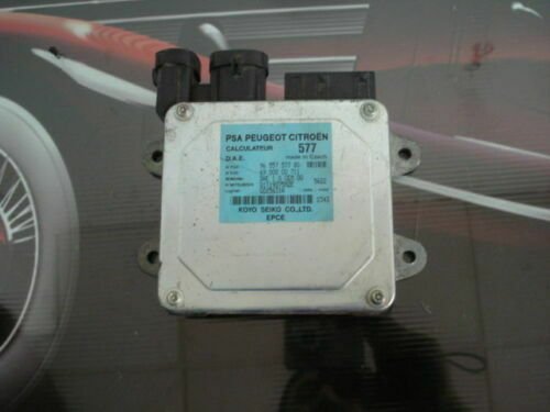 Control de Dirección asistida Citroen Peugeot 9655757780 6900000711 Q1T19075MZE