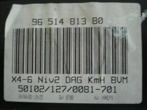 Cuadro de instrumentos / Citroen C5 9651481380 501021270081