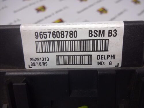 BSM Caja de fusibles Peugeot 307 206 9657608780 96 576 087 80 DELPHI BSM B3