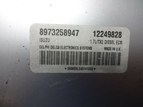 Centralita del motor Opel Meriva ISUZU DELPHI DELCO 8973258947 12249828