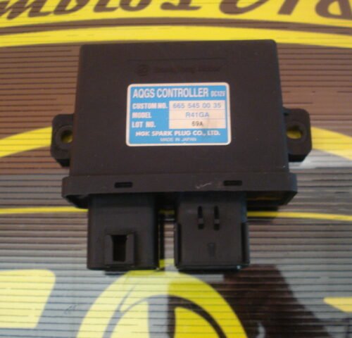 Centralita AQGS CONTROLLER Ssangyong Rexton  6655450035 R41GA