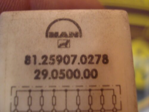 DSC06102 Relé Rele MAN 81259070278 81.25907.0278 29050000