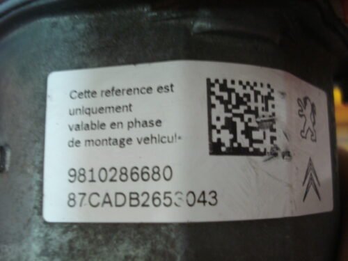 ABS Peugeot CITROEN 9810286680 9806742980 0265244181 0265956083