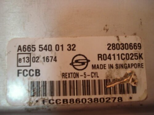 Centralita del motor Ssangyong Rexton R0411C025K A6655400132