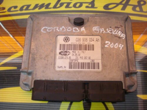 Centralita del motor  Seat Ibiza  036906034AH  6160067906  IAW4MVAH