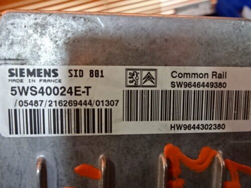 Centralita del motor Peugeot Citroen 5WS40024ET 5WS40024E-T SW9646449380 HW9644302380