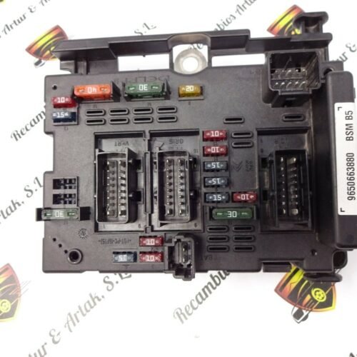 9650663880 Caja de fusibles BSM B5 Peugeot Citroen 9650663880 DELPHI
