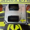 Centralita del motor Opel 12992406XU 12992406 XU S0600115 5WK9395