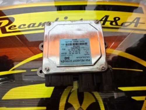 Dirección asistida Calculateur PSA CITROEN Peugeot 9665434080 6900001742