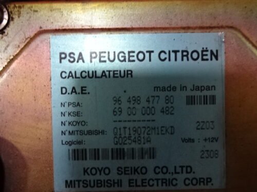 Dirección asistida Calculateur PSA CITROEN Peugeot 9649847780 6900000482