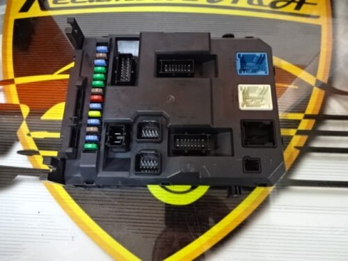 BSI Caja de fusibles Citroen Peugeot 9666952080 BSIEV-X02