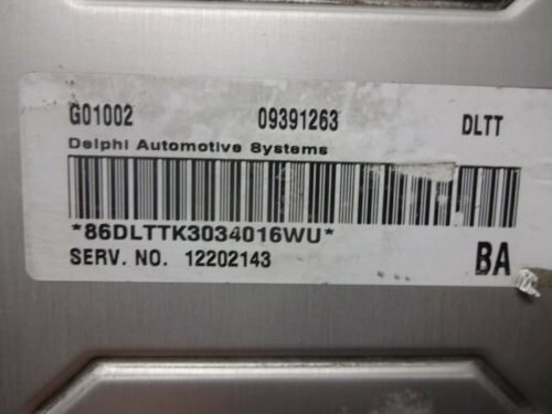 Centralita del motor Opel G01002 09391263DLTT 12202143 BA 09391263 DLTT