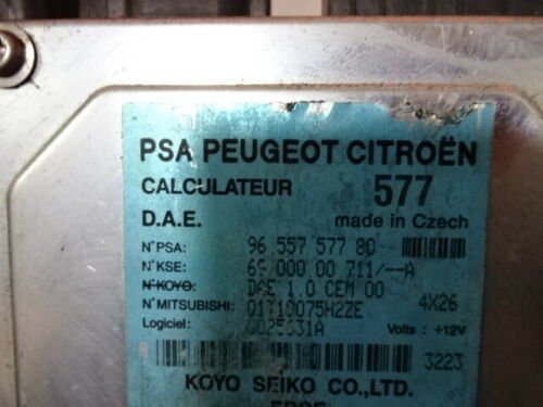 Dirección asistida Citroen Peugeot 9655757780 6900000711A Q1T19075MZE