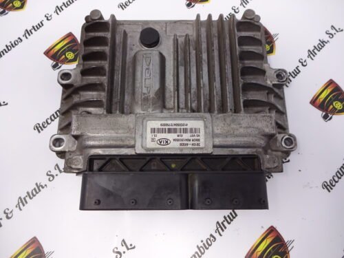 391044X930 39104-4X930 DDCR R0412C050A Centralita del motor KIA CARNIVAL 391044X930 39104-4X930 DDCR R0412C050A