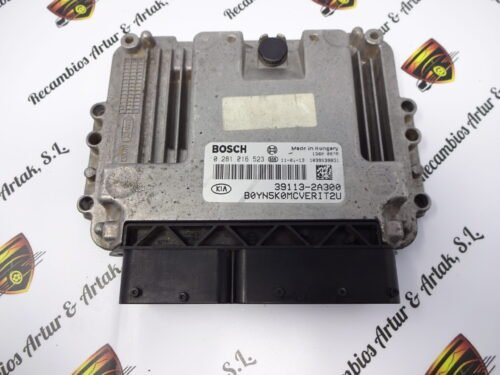 Centralita del motor Hyundai i30 0281016523 391132A300 39113-2A300