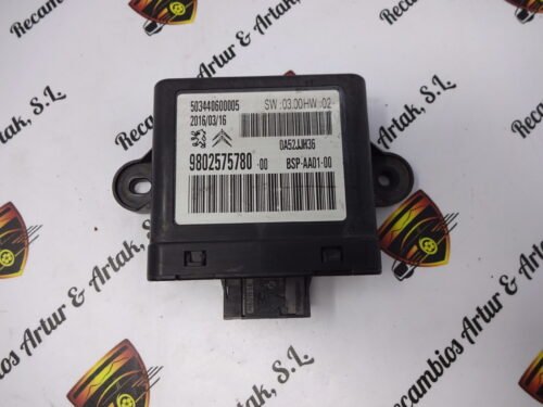Unidad de control  CITROEN  9802575780 503440600005 BSP-AA01-00  9802575780 -00