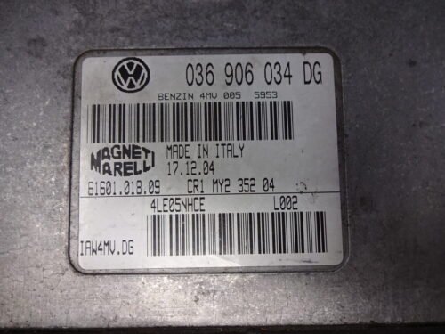 Centralita del motor  Seat  036906034DG  61601.018.09 6160101809