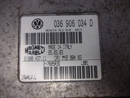 Centralita del motor Seat 036906034D 61600.437.11 6160043711