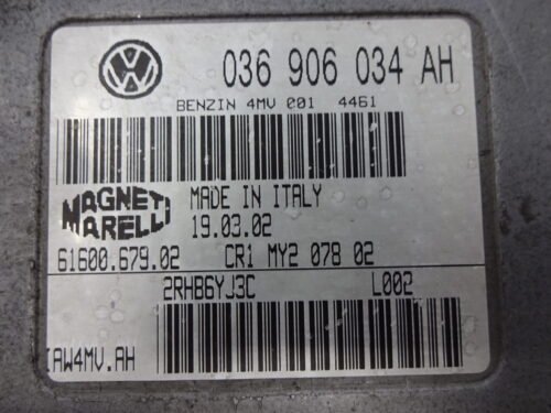 Centralita del motor  Seat Ibiza 036906034AH 61600.679.02 6160067903