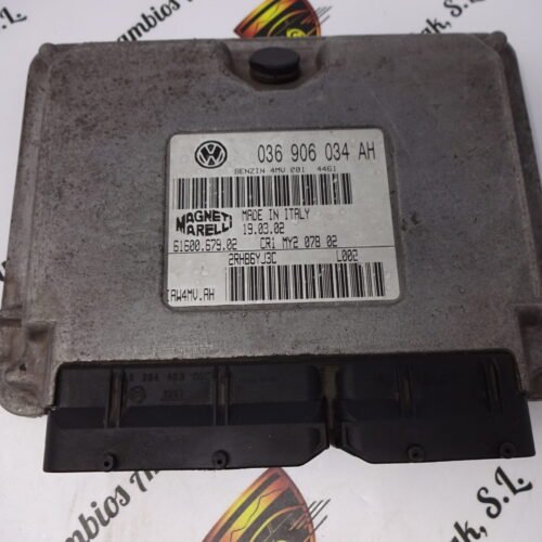 Centralita del motor  Seat Ibiza 036906034AH 61600.679.02 6160067903