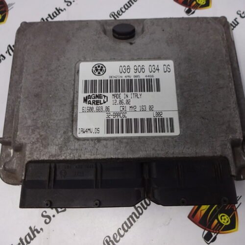 Centralita del motor  Seat Ibiza 036906034D  61600.669.06 6160066906