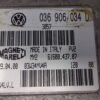 Centralita del motor  Seat Ibiza 036906034D  61600.437.07 6160043707