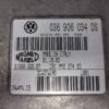 Centralita del motor Seat Leon 036906034DS 61600.699.07 6160066907