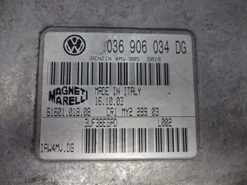 Centralita del motor  Seat Ibiza 036906034DG 61601.018.08 6160101808