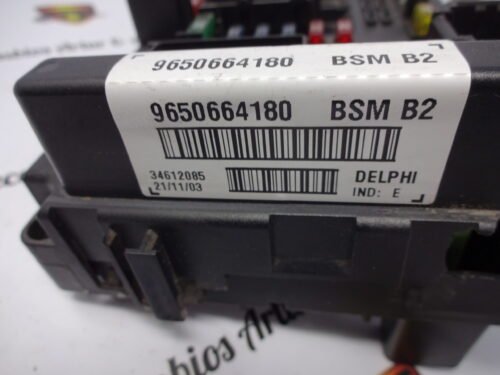 BCM Caja de fusibles Peugeot 206 207 Citroen C3 9650664180 BSM B2 DELPHI