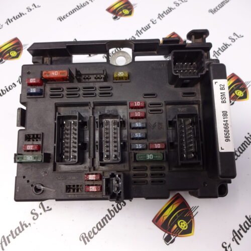 BCM Caja de fusibles Peugeot 206 207 Citroen C3 9650664180 BSM B2 DELPHI