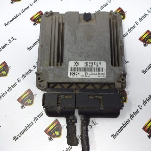 Centralita del motor AUDI VOLKSWAGEN SEAT SKODA 0281011909 03G906016FH