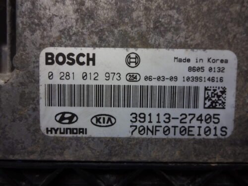 Centralita del motor  Hyundai 0281012973 3911327405 39113-27405