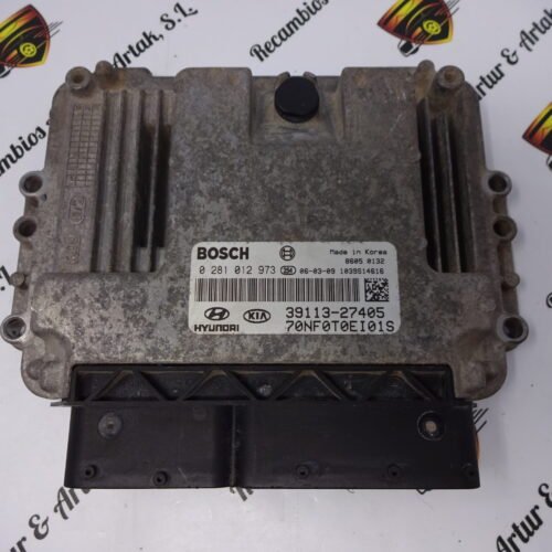 Centralita del motor  Hyundai 0281012973 3911327405 39113-27405