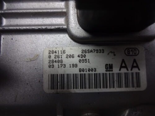 Centralita del motor  Opel 0261206490 09173199 AA