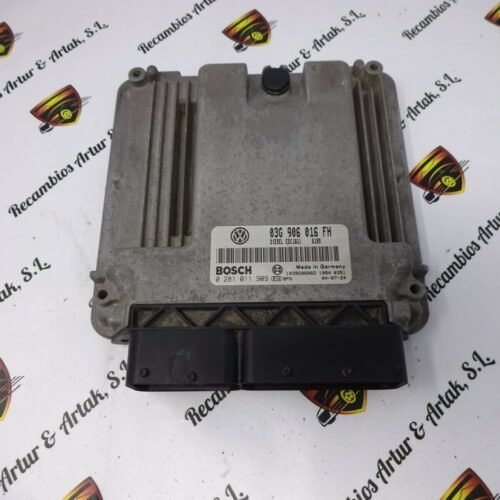 Centralita del motor AUDI VW SEAT SKODA 0281011909 03G906016FH