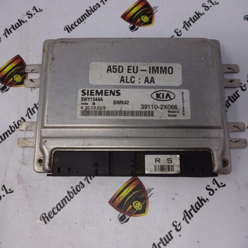 Centralita del motor KIA 391102X066 39110-2X066 5WY1344A