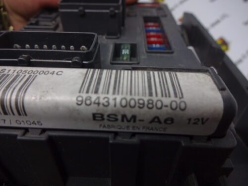 PEUGEOT CITROEN  S110500004C 9643100980-00 964310098000 BSM-A6