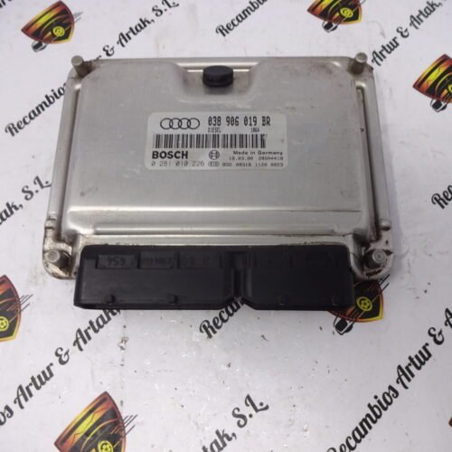 Centralita del motor VW Passat Audi A4 0281010226 038906019BR