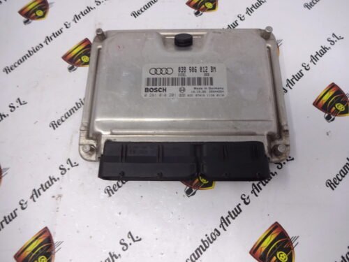 Centralita del motor AUDI A4 038906012BM 0281010201 038 906 012 BM