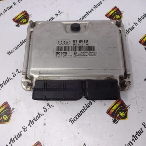 0261207596 8E0909559 8EO909559 Centralita del motor AUDI A6 0261207596 8E0909559 8EO909559