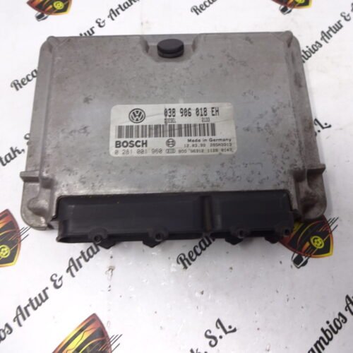 Centralita del motor VW Passat 0281001960 038906018EH 038 906 018 EH