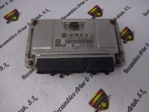 Centralita del motor Seat ibiza 0261201667 03C906057AG