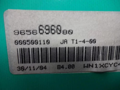9656696080 9656696080