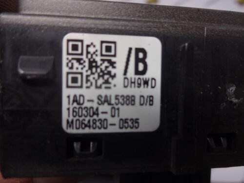 portón de maletero Land Rover Evoque DH9WD 1AD-SAL538B M064830-0535