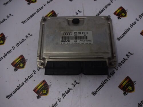 038906012BL 0281010199 Centralita del motor AUDI A4 1.9 TDI 038906012BL 0281010199