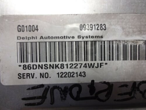 Centralita del motor Opel 09391283 G01004 12202143 09391283 D01004