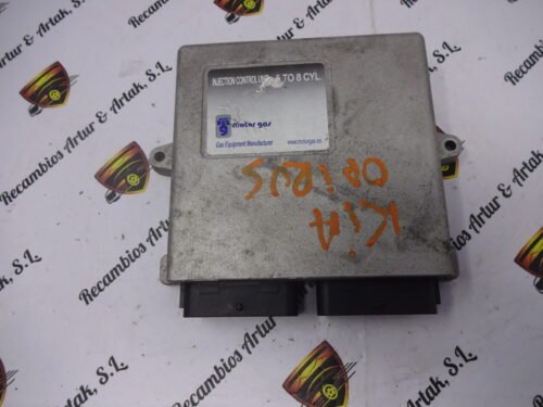 Unidad de control GAS AEB2568D 0314115700437