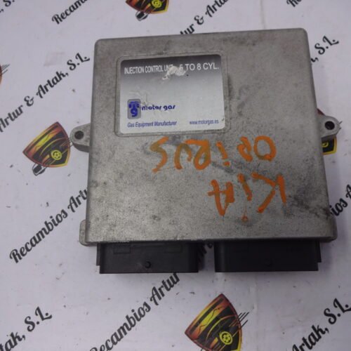 Unidad de control GAS AEB2568D 0314115700437